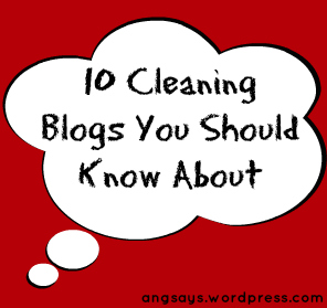 Cleaning Blogs