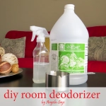 Homemade Room Deodorizer